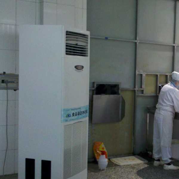 綦江食品正负离子空气杀菌器